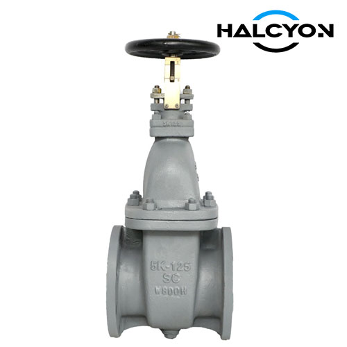JIS 5K Cast Steel Gate valve